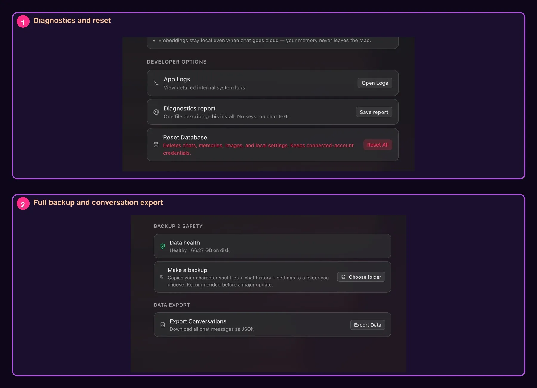 Local Waifu backup and diagnostics settings